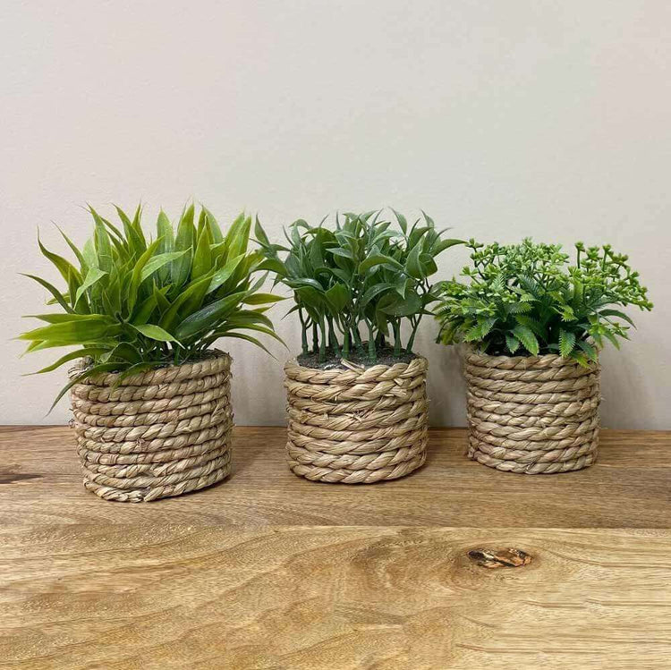 Artificial Plants for home decoration