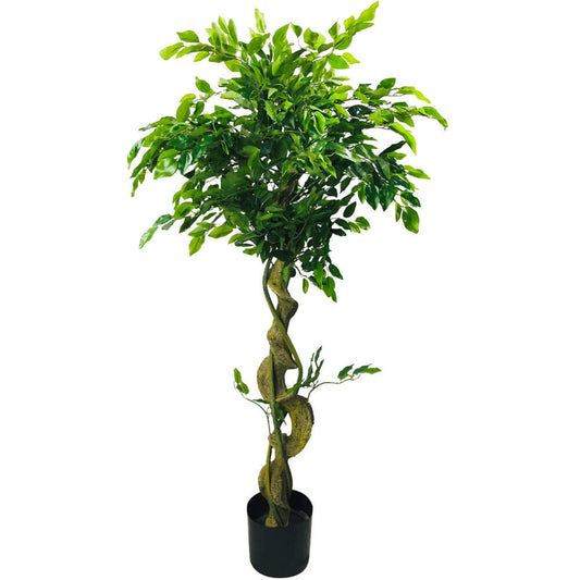 Artificial Ficus Tree With Twisted Trunk