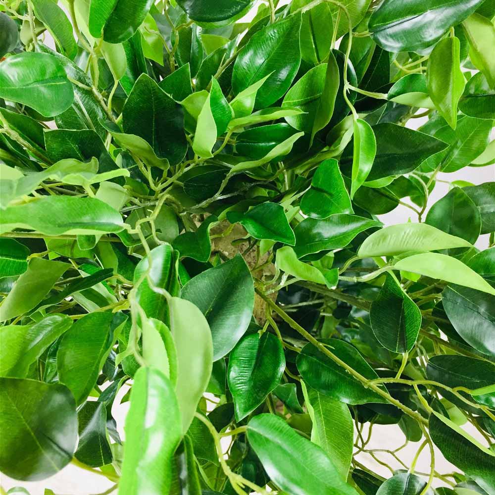 Close up image of the leaves from this artificial Ficus Tree