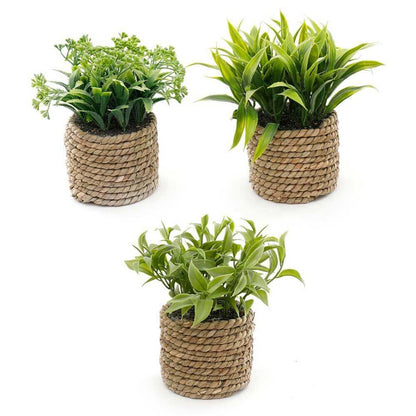 artificial succulent plants with woven grass pots as a set of 3