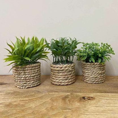 artificial succulent plants in woven grass pots