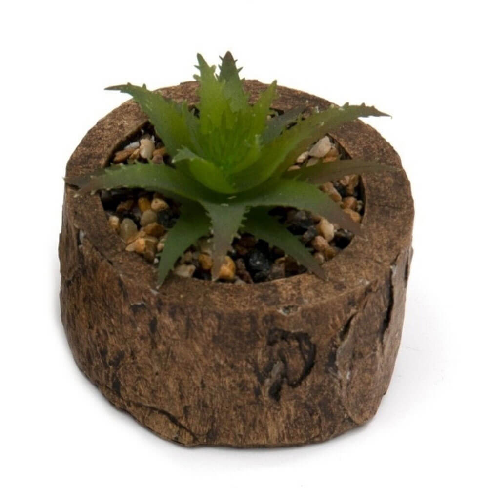 Bark Effect Pot and Artificial Succulent Dark