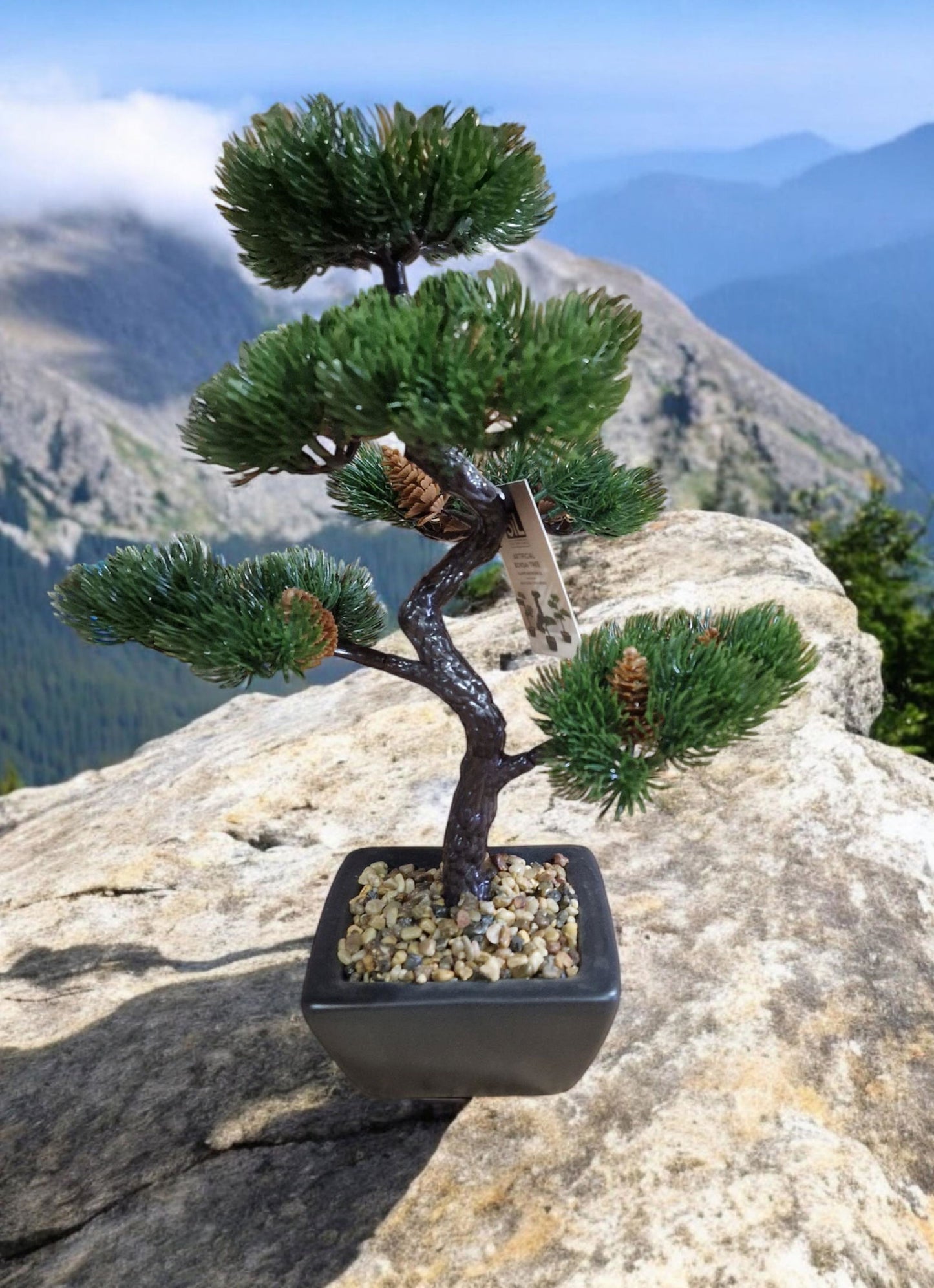 Bonsai Tree Decoration Fir Tree 37cm