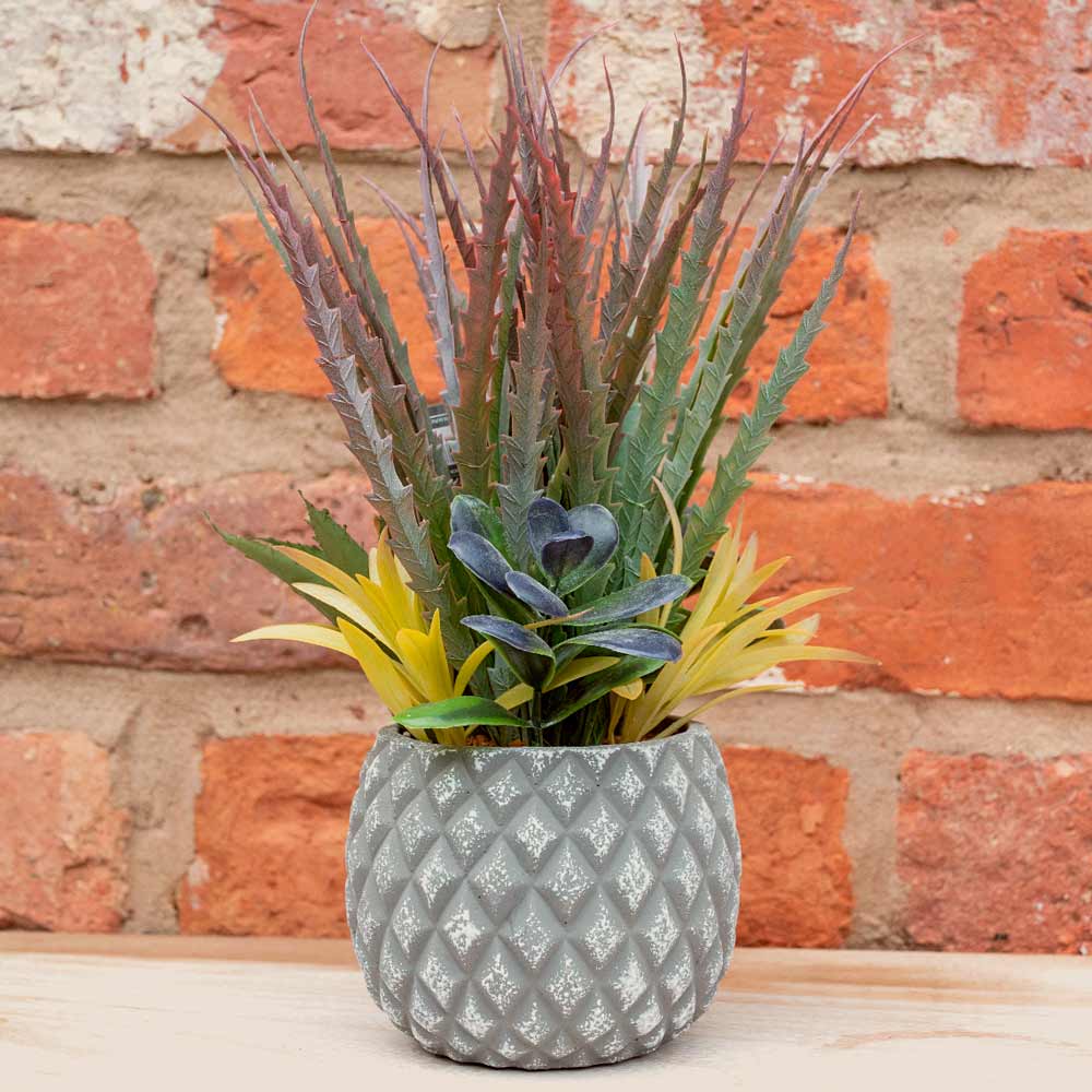 Succulents in Lattice Design Grey Pot